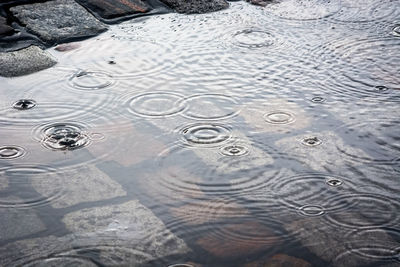 High angle view of raindrops on puddle