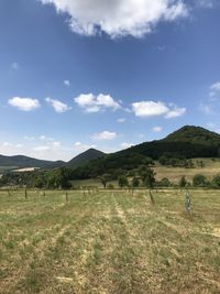 Scenic view of field against sky