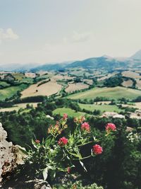 Scenic view of field and mountains against sky