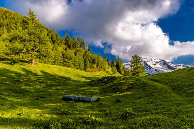 Scenic view of field and mountains against sky