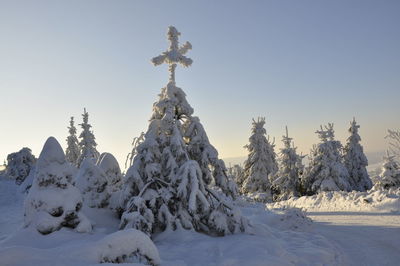 Snow covered land and trees against clear sky