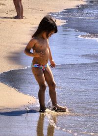 Full length of dog on beach