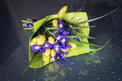 Close-up of wet purple flower