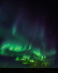 Low angle view of star field against sky at night