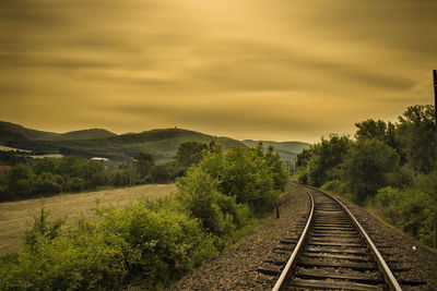 Railroad track amidst trees against sky