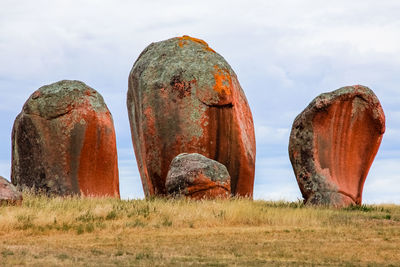 Unique rocks murphys haystacks covered with lichens, south australia