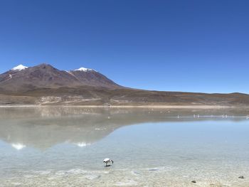 Scenic view of lake against clear blue sky