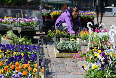 Flower pots at market stall in hakaniemen tori