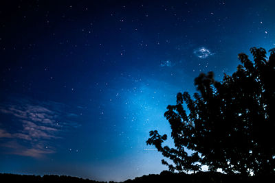 Low angle view of silhouette tree against sky at night