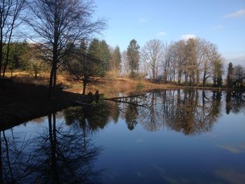 Reflection of trees in lake against sky