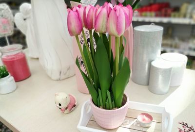 Close-up of pink flowers in vase on table