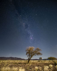 Trees on field against sky at night