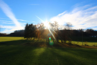 Scenic view of grassy field against sky