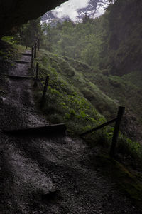 Footpath in park