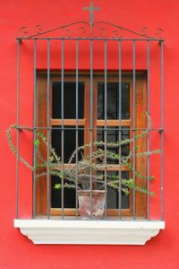 Close-up of window on red wall