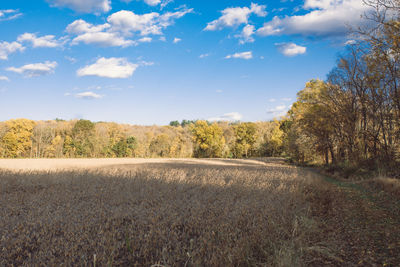 Scenic view of landscape against sky