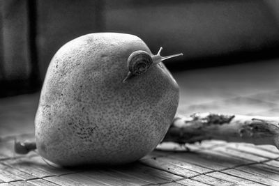 Close-up of pear with snail  on table 