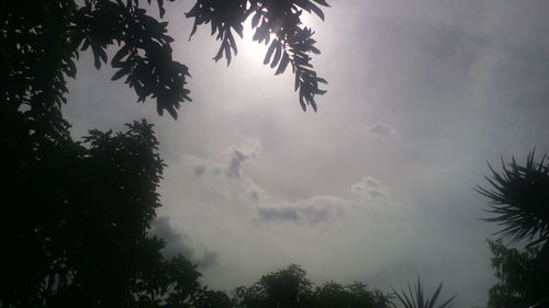 Low angle view of trees against cloudy sky