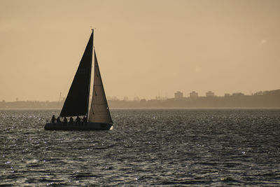 Sailboat sailing on sea against clear sky