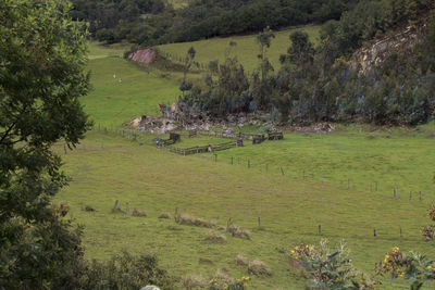 Scenic view of landscape