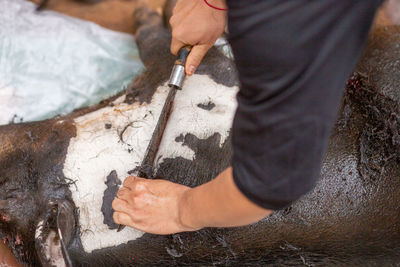 High angle view of man working at fish