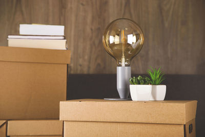 Light bulb with potted plant on cardboard box against wall
