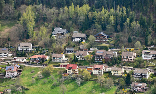 High angle view of buildings and trees in city