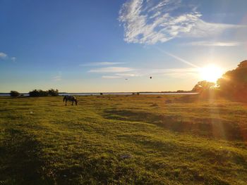 Scenic view of field against sky during sunset