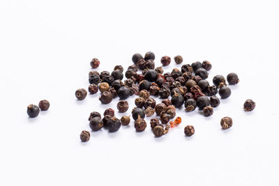 High angle view of berries on white background