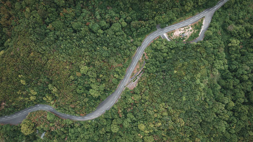 High angle view of agricultural field