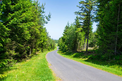 Road amidst trees against sky