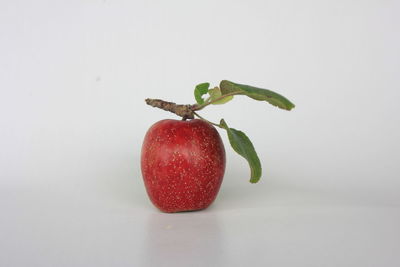 Close-up of apple against white background