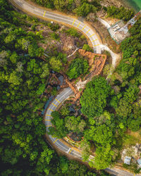 High angle view of trees by road