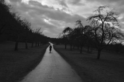 Man walking on road amidst trees against sky