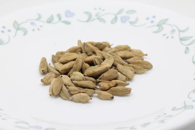 Close-up of food in plate