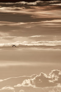 Low angle view of bird flying in sky