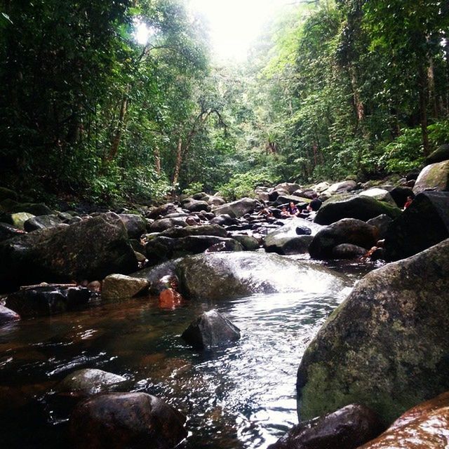 water, rock - object, tree, stream, forest, tranquility, beauty in nature, scenics, nature, tranquil scene, river, flowing water, reflection, flowing, rock, rock formation, idyllic, non-urban scene, day, waterfront