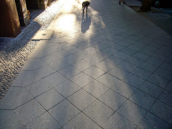 High angle view of shadow on cobblestone