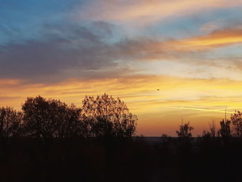 Silhouette plants against dramatic sky during sunset