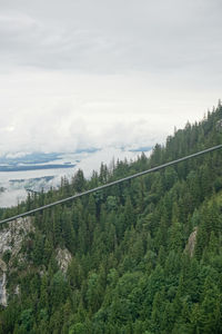 Scenic view of forest against sky