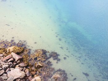 High angle view of stones at lakeshore