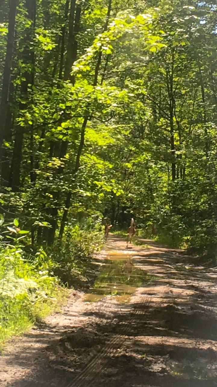 MAN IN FOREST