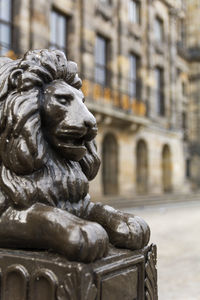 Close-up of statue in city