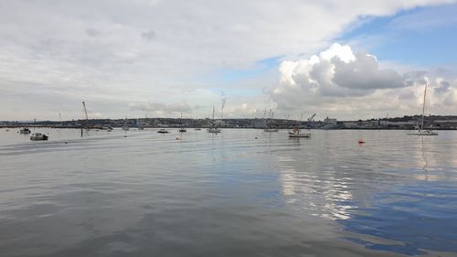 Sailboats in marina