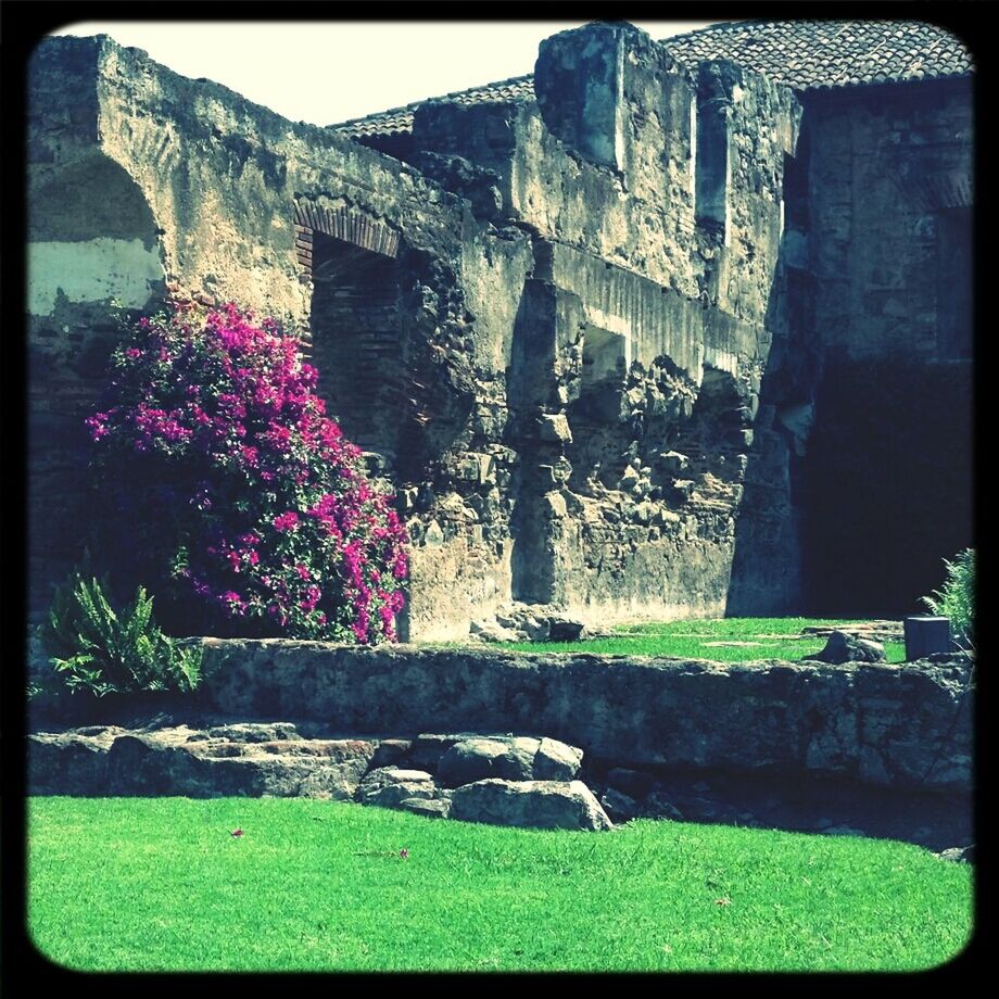 transfer print, built structure, architecture, grass, building exterior, flower, auto post production filter, plant, tree, growth, lawn, history, stone wall, nature, day, park - man made space, sunlight, formal garden, green color, steps