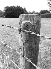 Close-up of wooden post on grass