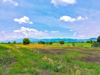 Scenic view of field against sky