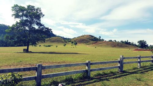 Scenic view of landscape against sky