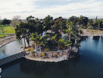 High angle view of plants by river against sky