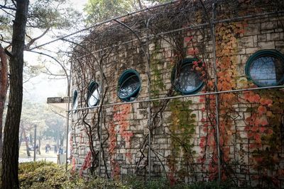 View of old building